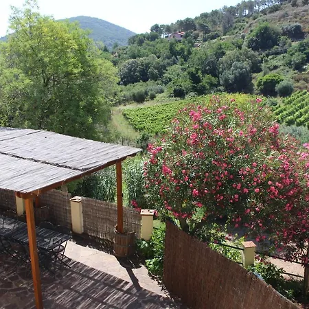 La Lecciola Farmház *