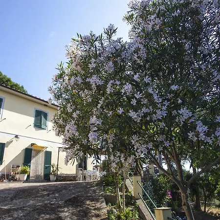 La Lecciola Rio dellʼElba